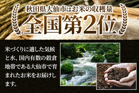 ＜令和7年産 新米受付＞《定期便2ヶ月》米【白米】米どころ秋田県大仙市産 あきたこまち 精米 10kg（5kg×2袋）