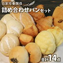 【ふるさと納税】 自家培養酵母 詰め合わせ パンセット 14点 ( パン 惣菜パン 冷凍パン 無添加 天然酵母 冷凍 詰め合わせ 小麦 朝食 朝ごはん お取り寄せ 食べ比べ 京都 国産 )