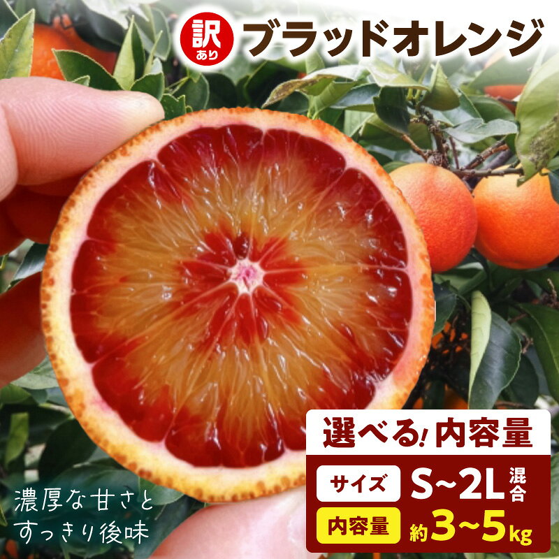 【ふるさと納税】【2027年先行予約】 訳あり ブラッドオレンジ 選べる内容量 約 3kg 5kg 家庭用 深いコク すっきりとした酸味 柑橘 果物 アントシアニン ポリフェノール 濃厚 芳醇 デザート 旬の味覚 フルーツ オレンジ 産地直送 和歌山県 湯浅町 送料無料
