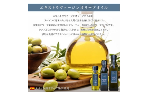 エキストラバージン(EXV)オリーブオイル3本入ギフト(120ml×3本)【1773234】