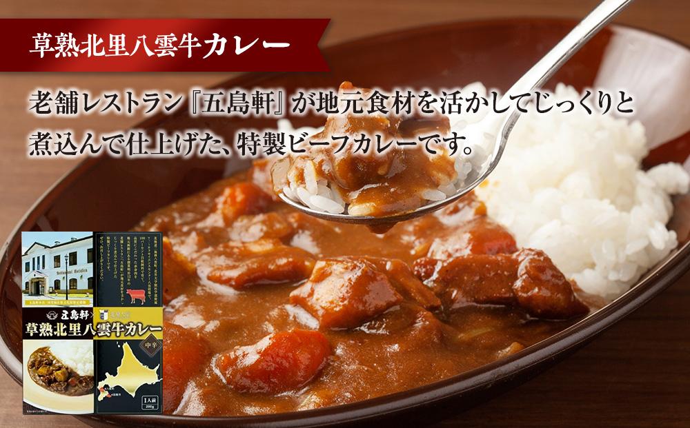 北里八雲牛加工品3点詰め合わせセット 【ビーフシチュー カレー コーンビーフ 加工品 肉加工品 おうちごはん 簡単調理 レトルト 詰め合わせ セット 食品 グルメ お取り寄せ お取り寄せグルメ  八雲