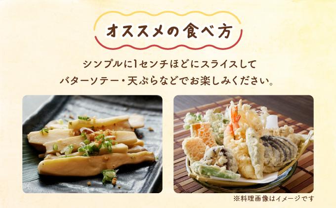 珍しいきのこ ゆきれいたけ AT19