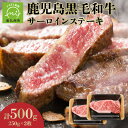 【ふるさと納税】期間限定 鹿児島 黒毛和牛 サーロイン ステーキ 250g×2枚 計500g 脂身 霜降り サーロインステーキ 大理石 美しい 柔らかい 肉質 豪華 虜 旨味 ご飯のお供 おかず お取り寄せ グルメ 鹿児島県産 南九州市 送料無料