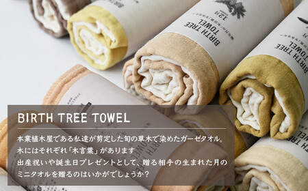 5月「ハナミズキ」の木言葉 「永遠」 BIRTH TREE TOWEL |  ガーゼ ガーゼ ガーゼ ガーゼ ガーゼタオル ガーゼハンカチ タオル ハンカチ ふわふわ 草木染 染め RYOKUSUIE