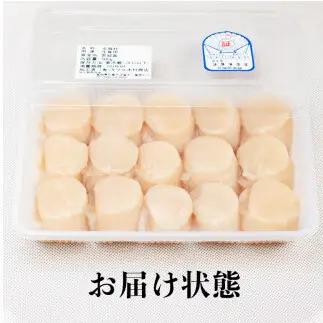 宮城県産 生食用 生ホタテ貝柱（500g/約15個〜18個入り）冷蔵 帆立 ほたて 貝 魚介 海鮮 刺身 生食 生ほたて 生帆立 宮城県 石巻市 宮城 石巻