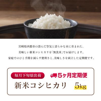 ふるさと納税 西都市 8月より発送【5ヶ月定期便】 新米コシヒカリ無洗米 5kg×5回令和7年産宮崎県西都市産[2862] |  | 03