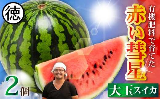 有機肥料で育てた大玉スイカ【赤い彗星】（2個入り）　M002-004