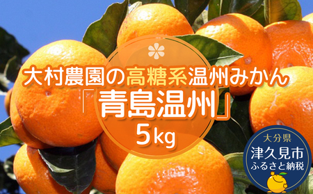 【先行予約】大村農園 温州みかん 5kg | みかん 津久見市