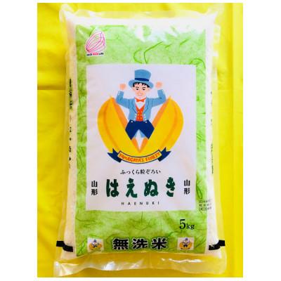 ふるさと納税 酒田市 令和7年産　無洗米はえぬき　精米5kg×1袋