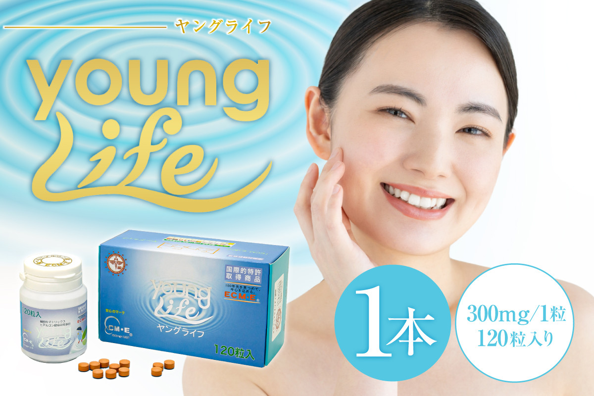 
            ヤングライフ（サプリメント）120粒【 サプリメント ヒアルロン酸  タンパク質 鶏 トサカ 健康 食品 健康食品 アダプトゲン製薬 】
          