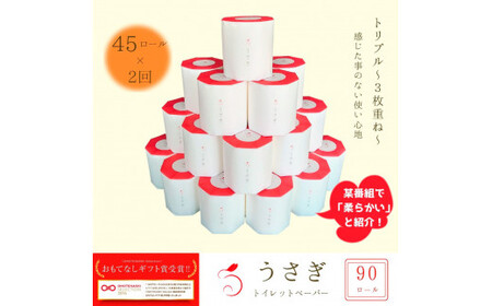 【先行予約】【2回定期便】 うさぎ45ロール入り 2ヵ月毎 全2回 トイレットペーパー ギフトボックス 高級 トイレットペーパー トリプル 定期コース 無香料 箱入り 贈答 日用品【望月製紙株式会社】