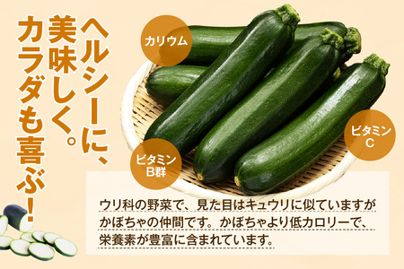 【産地直送】ズッキーニ　約10本
