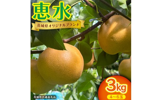 恵水 約 3kg 4～6玉 (茨城県共通返礼品:かすみがうら市) 2026年 マスカット ぶどう 葡萄 ブドウ フルーツ 果物 くだもの 旬 食べ比べ セット 詰め合わせ 国産 産地直送 ギフト 贈答
