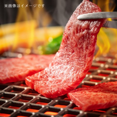 飛騨牛5等級 バラ焼肉用1kg　FTA274【配送不可地域：離島】【1578273】