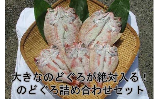 大きなのどぐろが絶対入る！のどぐろ詰め合わせセット のどぐろ 魚介 おかず おつまみ 大容量 たっぷり のどぐろ アカムツ 干物 【176_1782】