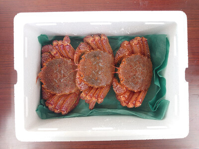 ＜濃厚＞三陸産活毛ガニ約250g×3匹 かに 蟹 毛ガニ 新鮮