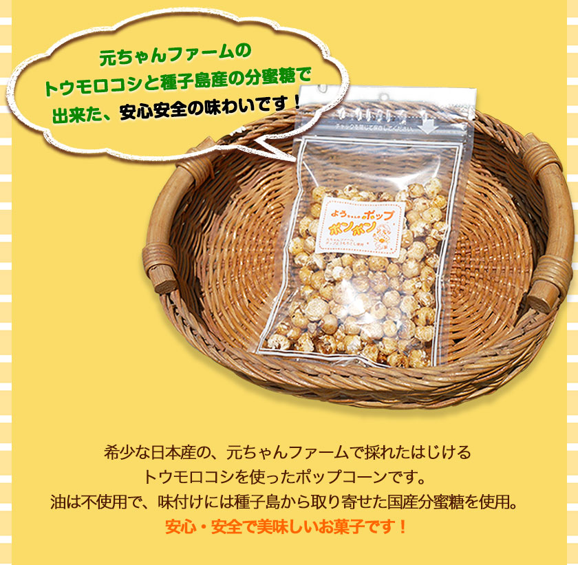 ポップコーンポンポン 元ちゃんファーム《30日以内に出荷予定(土日祝除く)》 和歌山県 紀の川市 トウモロコシ 菓子 ポップコーン 送料無料