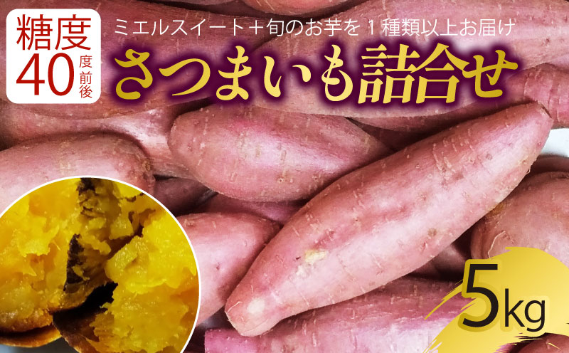 【新芋発送開始】 サツマイモ 詰め合わせ 5キロ ミエルスイート ＋1種類以上 安納黄金 紅はるか 土佐紅 焼き芋 焼いも 焼芋 やきいも 野菜 やさい 食品 人気 おすすめ 高知県 南国市