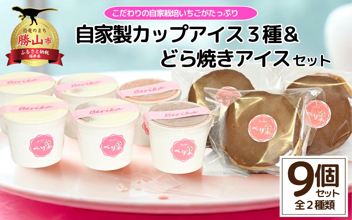 
                  自家製カップアイス3種＋どら焼きアイスセット |  アイス アイスクリーム カップアイス 自家製アイス 牧場アイス いちごアイス ミックスアイス ミルクアイス どら焼きアイス アイスどら焼き 和スイーツ 和菓子アイス 冷凍スイーツ スイーツ デザート ジャージー牛乳 濃厚アイス お取り寄せ ご当地スイーツ 福井県 勝山市 北陸 人気 おすすめ ギフト 詰め合わせ セット [B-045002 ]
                