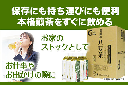 八女茶 煎茶ペットボトル 500ml×24本 株式会社親和園《30日以内に出荷予定(土日祝除く)(土日祝除く)》福岡県 鞍手郡 鞍手町 お茶 緑茶 茶 八女茶 ペットボトル 送料無料