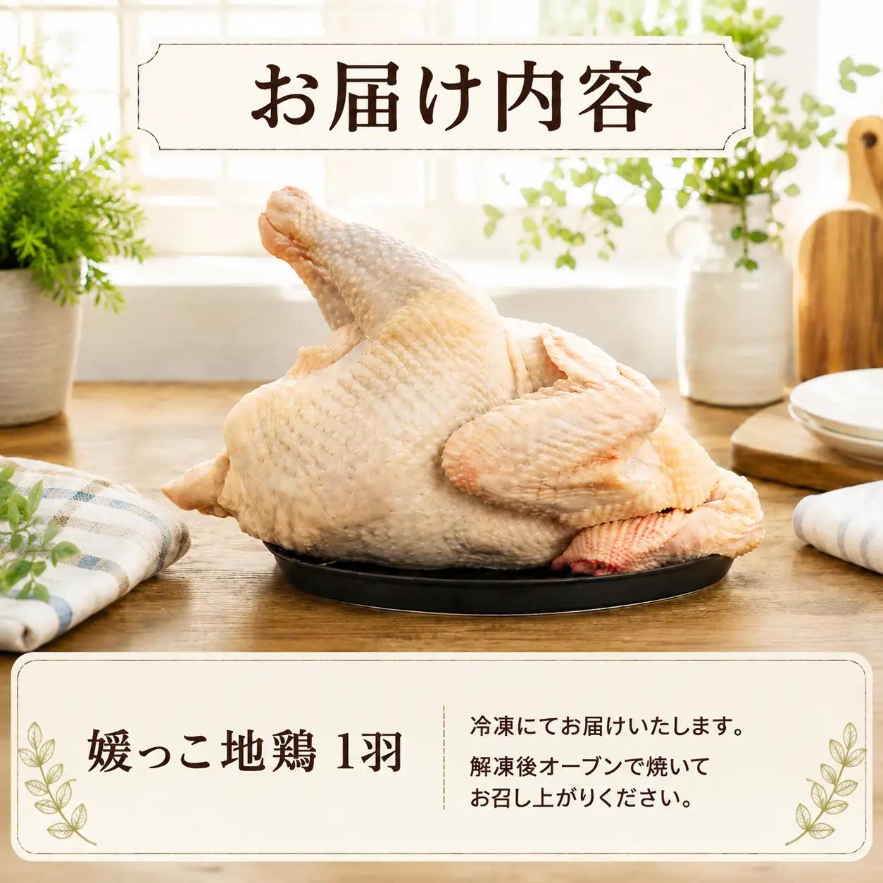 【 2026年 クリスマス 先行予約 】 媛っこ地鶏 丸鶏 約 1.8kg まるごと 鶏肉 鳥肉 肉 チキン むね肉 もも肉 クリスマス ローストチキン ごちそう 愛媛県 愛南町 ローカルスタンダード