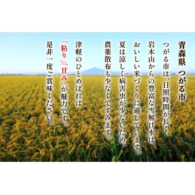 ふるさと納税 つがる市 つがる市産「津軽のひとめぼれ」5kg [0896] |  | 02
