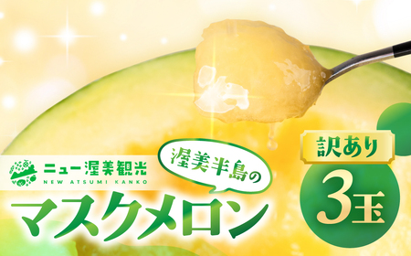【先行予約】訳あり マスクメロン 3玉 メロン ニュー渥美観光