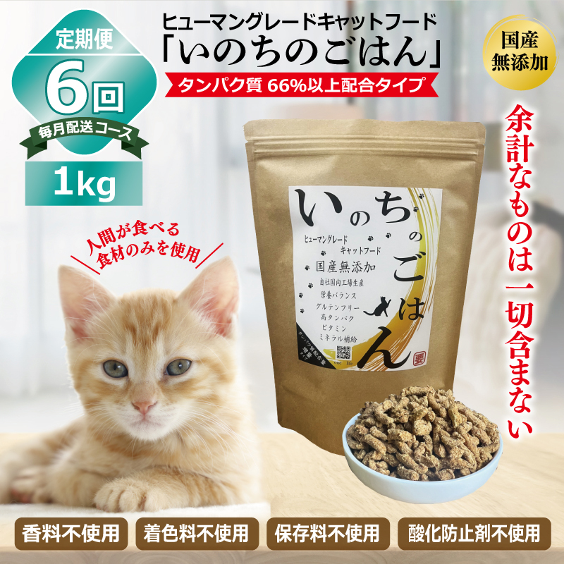 【定期便】国産無添加 キャットフード 1kg×全6回「いのちのごはん」タンパク質 66％以上配合タイプ【猫 ねこ ペットフード チキン 手作り ヒューマングレード 国産 毎月配送】 099Z334
