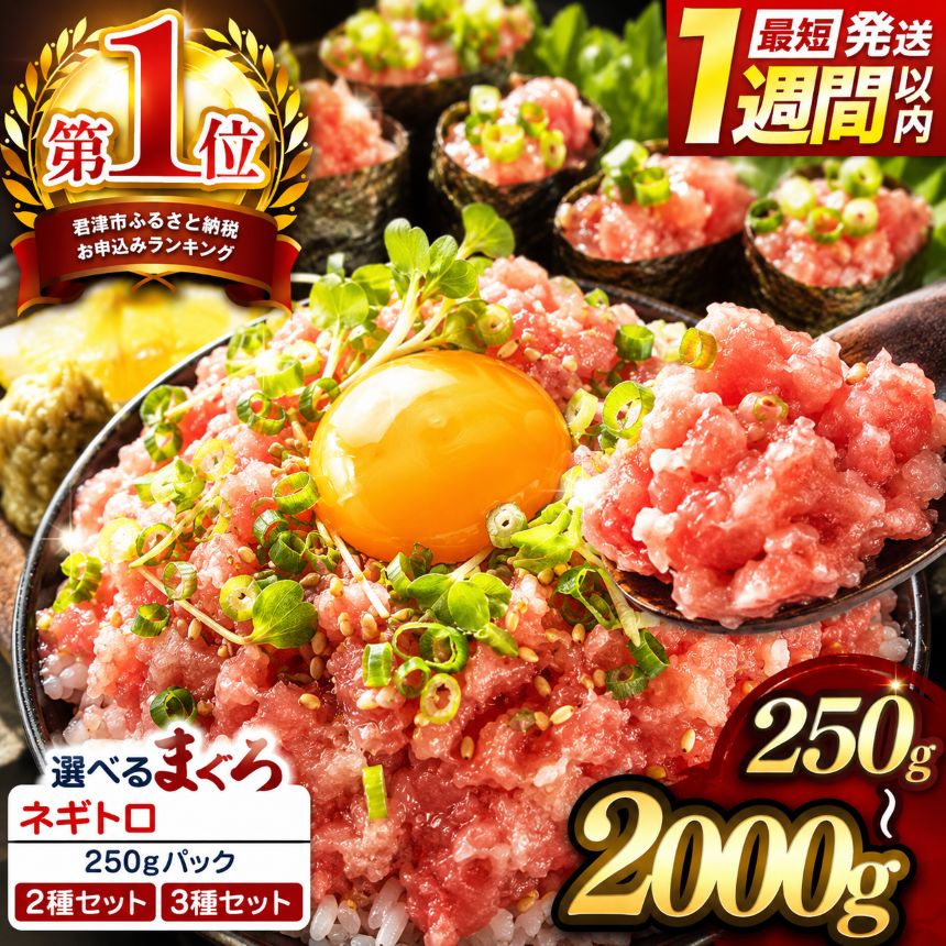 清幸丸水産 ねぎとろ 大人気 1250g(250g×5袋) 味も量も大満足