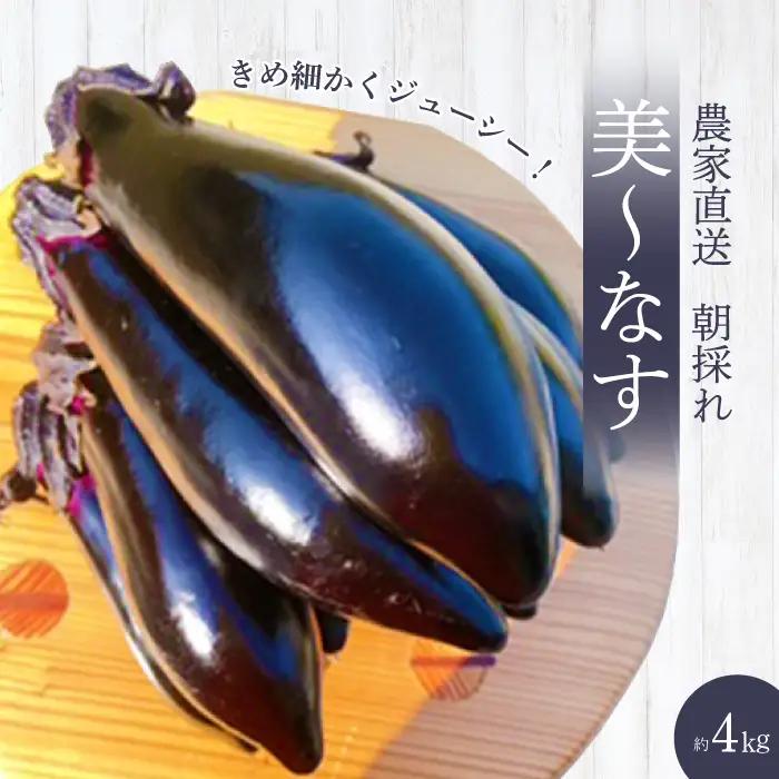 【先行受付】みのる農園 農家直送！朝採れ 美～なす 4kg ナス 野菜 やさい 2026年7月～10月上旬お届け 広島県三原市 206005