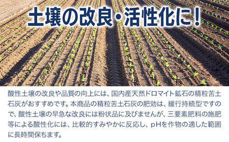 つくみ精粒苦土石灰1号 (5kg×2袋) 家庭菜園 園芸 土づくり 農業 農園 野菜栽培 ガーデニング 有機農産物 肥料 土壌改良 天然 ドロマイト鉱石 機械散布 大分県産 九州産 津久見市