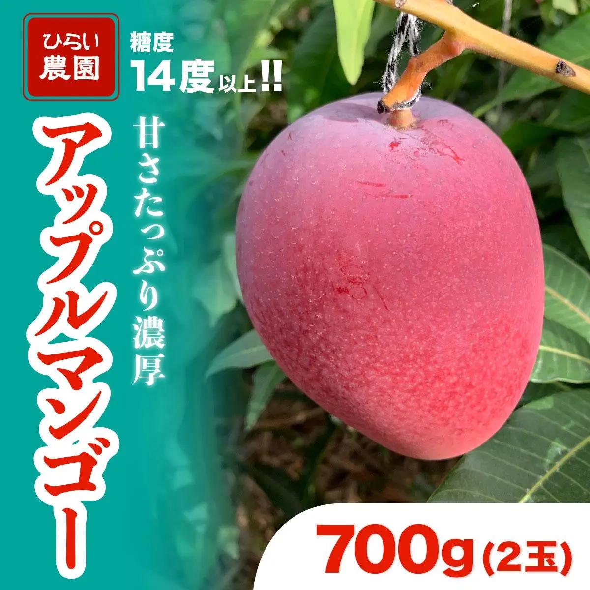 【2027年 先行予約】アップルマンゴー 約700g 