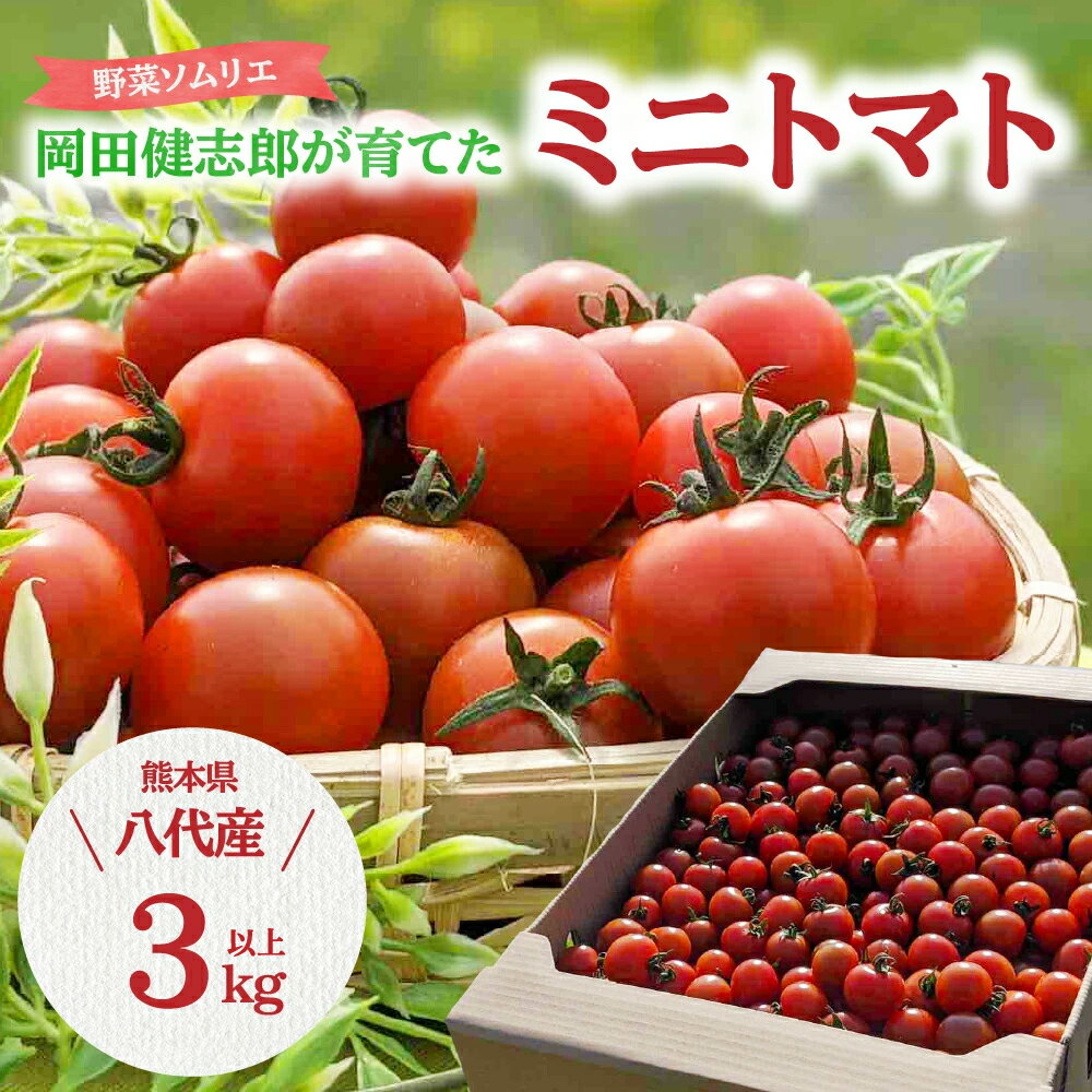 【ふるさと納税】 【先行予約】 野菜ソムリエ岡田健志郎が育てた ミニトマト 3kg以上 トマト 野菜 熊本県産 送料無料 【2025年12月上旬より順次発送】