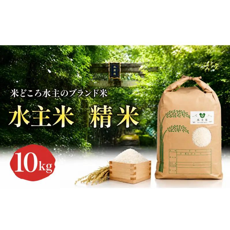 コシヒカリ 水主米 地域ブランド米 コシヒカリ【精米10kg】