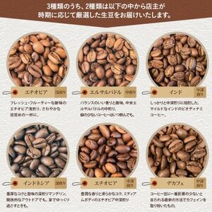 自家焙煎スペシャルティコーヒー豆 店主おすすめ3種 計300g【1653005】