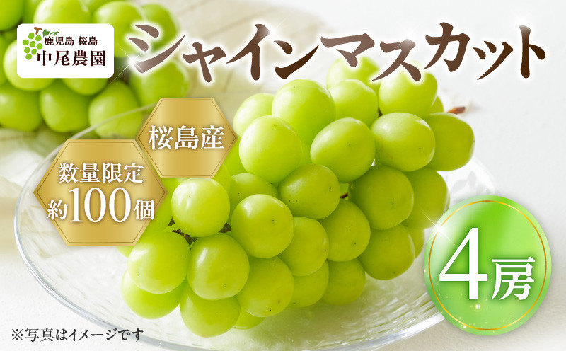 
                  【2026年先行予約】【桜島産】シャインマスカット 4房　K261-001_04
                