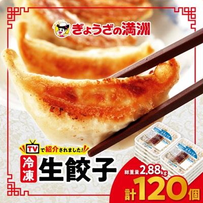 ふるさと納税 坂戸市 冷凍生餃子10パック(120個)　ぎょうざの満洲