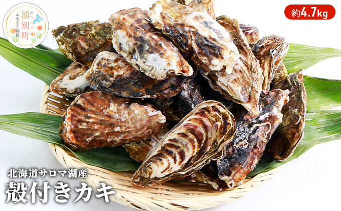 北海道 サロマ湖産 カキ 約4.7kg 牡蠣 海鮮 魚介 国産 殻付き 貝付き 生食 焼き牡蠣 蒸し牡蠣 冷蔵 産地直送 オホーツク 魚貝類 生牡蠣 かき 殻付きカキ 