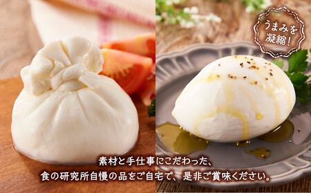 食の研究所magazzinoのこだわり商品詰め合わせ4品