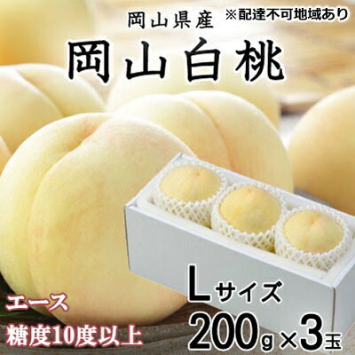 【ふるさと納税】桃 2026年 先行予約 岡山 白桃 エース 3玉×約200g（Lサイズ） JAおかやまのもも（早生種・中生種） もも モモ 岡山県産 国産 フルーツ 果物 ギフト 　お届け：2026年7月上旬〜2026年8月中旬