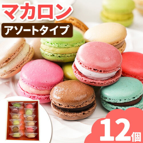 【ふるさと納税】マカロン 12個 セット アソート 欧風ケーキ工房 かねもり 北海道 本別町産 デザート スイーツ お菓子 洋菓子 焼き菓子 詰め合わせ 全15種 ランダム 個包装 冷凍 お取り寄せ グルメ ギフト 贈り物 プレゼント 贈答用 誕生日 送料無料 《45日以内に出荷》