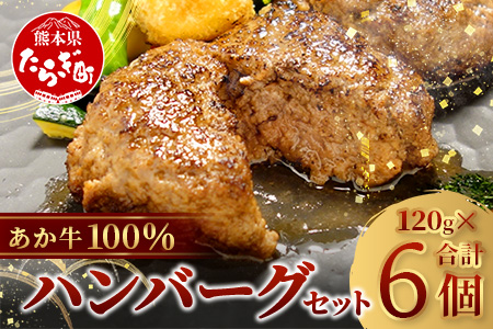 あか牛 100％ハンバーグ セット 120g×6個 【 ハンバーグ あか牛 牛肉 肉 熊本産 国産牛 和牛 旨味 うま味 ぎっしり 熊本県 多良木町 牛肉 】046-0638