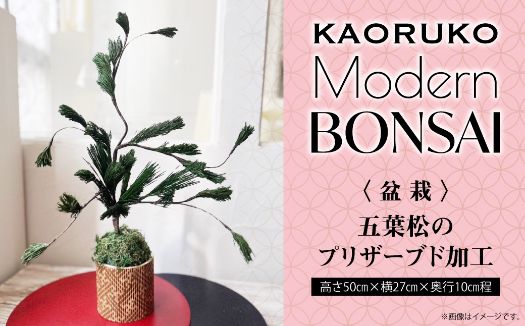 
                  KAORUKO Modern BONSAI KBO005
                