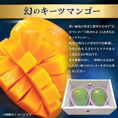 【発送月固定定期便】2026年発送 JAおきなわ厳選のプレミアムフルーツ定期便全2回【配送不可地域：離島】