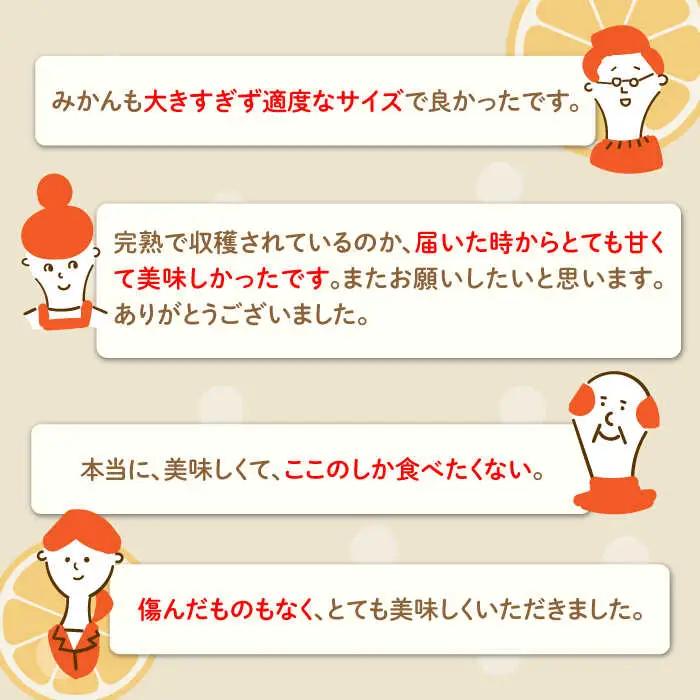 【2026年11月下旬-発送】【高糖度】温州みかん 約3kg / みかん ミカン 蜜柑 果物 フルーツ / 南島原市 / 南島原果物屋[SCV021]
