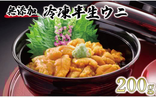 岩手県産 半生うに 200g 100g×2 冷凍 Sea urchin うに キタムラサキウニ ミョウバン不使用 雲丹 海鮮丼 寿司 ウニ丼 丼 ご飯 ごはん おかず 晩酌 おつまみ 魚介 刺身 小分け テレビ TV 放送 ニュース 番組 大船渡 大船渡市 三陸 岩手県