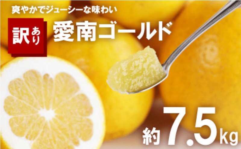 
            訳あり 河内晩柑 7.5kg サイズミックス 7000円 みかん かわちばんかん ミカン mikan わけあり 愛南ゴールド 家庭用 あいなん ゴールド 美生柑 文旦 派生 和製 グレープフルーツ 産地直送 国産 農家直送 期間限定 数量限定 ビタミン 特産品 人気 限定 甘い おいしい 小玉 含む フルーツ 果物 柑橘 蜜柑 アイス ジュース 等に 規格外 大樹農園 愛南町 愛媛県
          