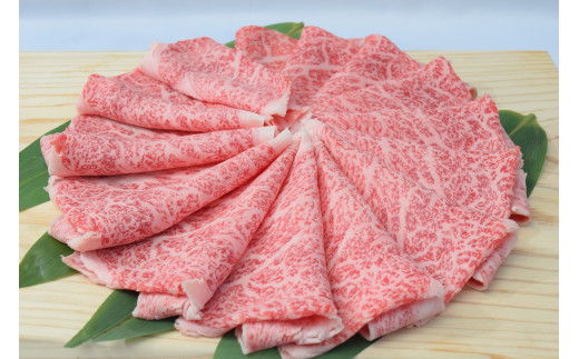 
佐賀牛ローススライス しゃぶしゃぶ用 500g （500g×1パック） J674
