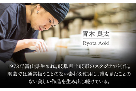 【美濃焼】王子様のボナペティ9プレート【RYOTA AOKI POTTERY/青木良太】 食器 プレート ディナープレート ディッシュプレート ワンプレート  皿 陶芸家 アート シルバー 銀 かっこ