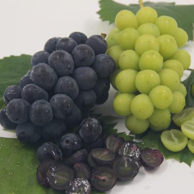 ふるさと納税 山梨市 【発送月固定定期便】フルーツ定期便全3回 |  | 03